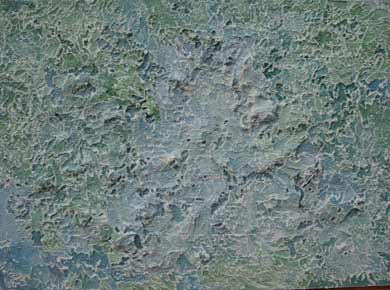 Öl auf Holz „Peppermint“ 49x34