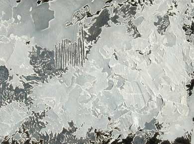 Öl auf Holz (Detail) „Ashes“ 65x34